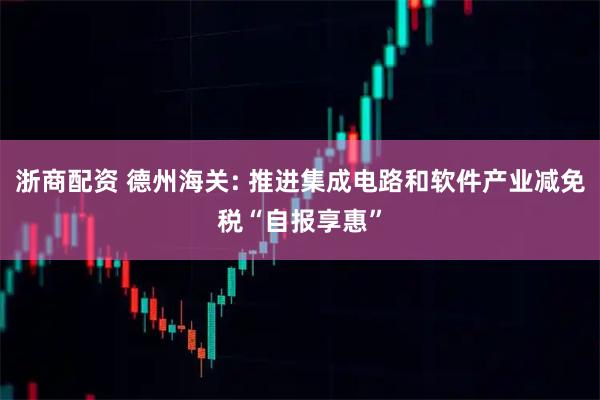浙商配资 德州海关: 推进集成电路和软件产业减免税“自报享惠”