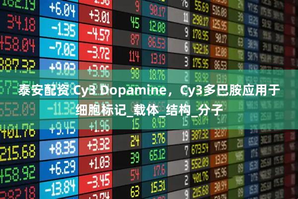 泰安配资 Cy3 Dopamine，Cy3多巴胺应用于细胞标记_载体_结构_分子