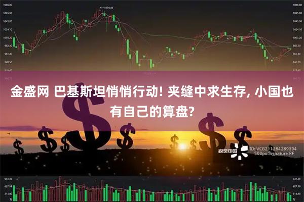 金盛网 巴基斯坦悄悄行动! 夹缝中求生存, 小国也有自己的算盘?