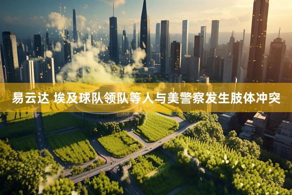 易云达 埃及球队领队等人与美警察发生肢体冲突